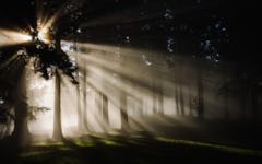 Editor’s Choice: Top 10 Articles of 2019