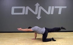Alternating Bird Dog Bodyweight Exercise
