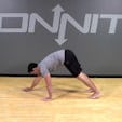 Hand Walkout to Push Up