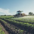 Digging Deeper Into Organic vs. Non Organic Food