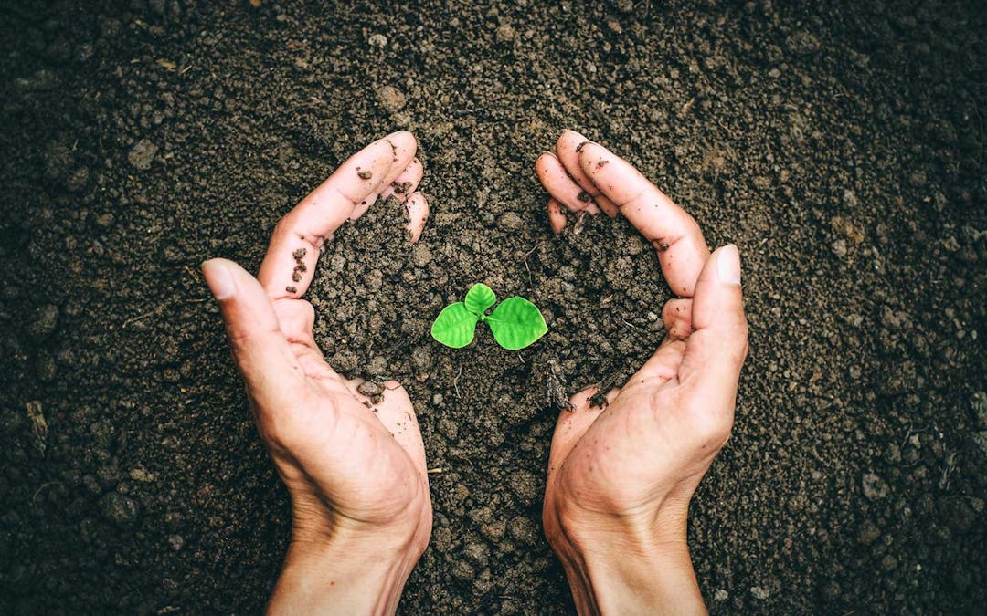 Fulvic Acid Benefits, Uses, and Side Effects