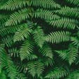 Polyphenols: The Secret Ingredient To A Long, Healthy Life