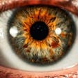 Lutein and Zeaxanthin for Eye Health and Performance