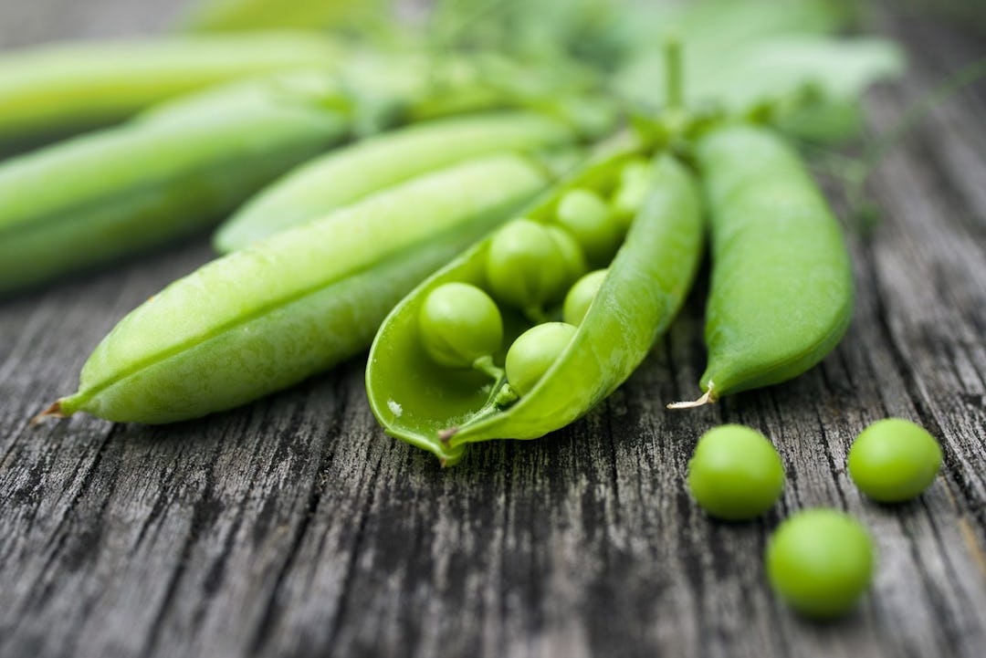 The Complete Guide To Pea Protein Powder
