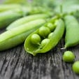 The Complete Guide To Pea Protein Powder