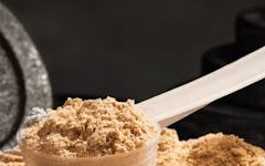 The Truth About Dairy and Lactose-Free Protein Powder