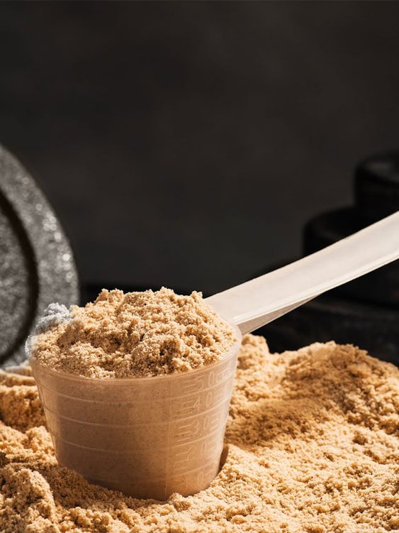 The Truth About Dairy and Lactose-Free Protein Powder
