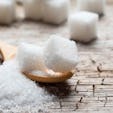 Why We Crave Sugar