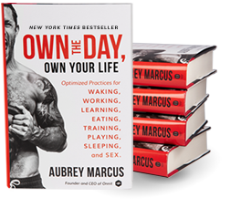 Own The Day